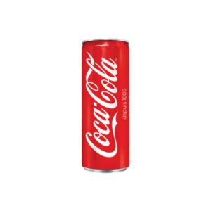 Coca Cola Canette 24 CL
