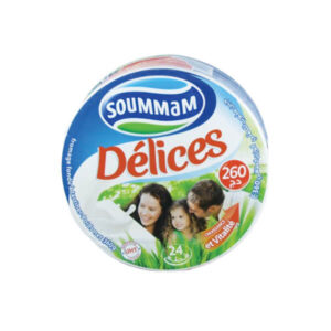 Soummam Délices Fromage Portions 24