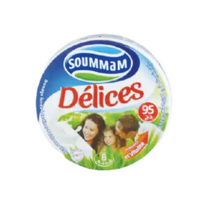Soummam Délices Fromage Portions 8
