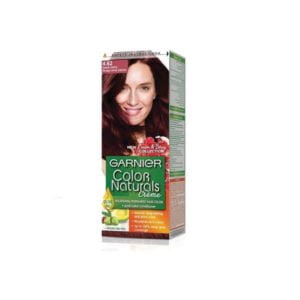 Teinte-Garnier-Color-Naturals-4.62