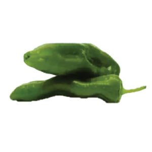 Poivron-Vert